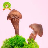 大农庄园-炎节鲜蔬礼盒16种/约重4.8kg